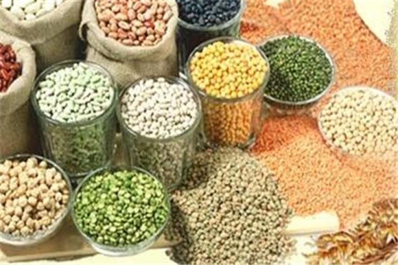 谷谷窖五谷养生